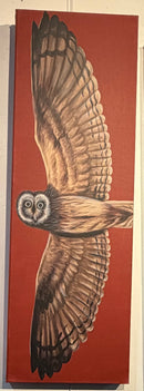 Owl