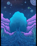 The Willows Clearing