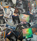 Shang Sticker 12 Pack