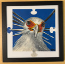 Secretary Bird