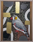 Zebra Finch